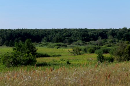 Herrensee, Lange-Damm-Wiesen und Barnim-Hänge 2020-08-05 234