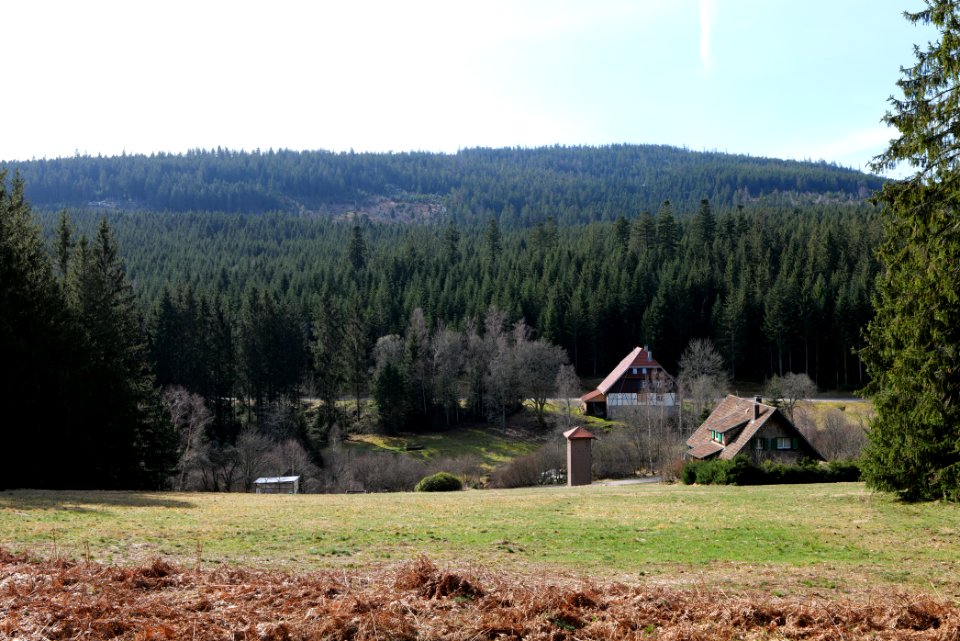 Herrenwies-Forbach 2020-03-15 19