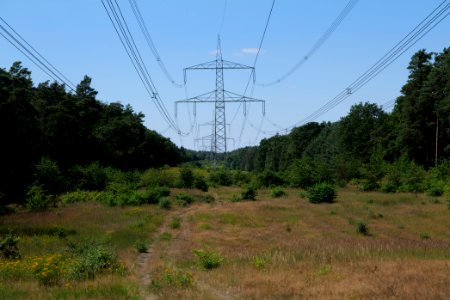 Herrensee, Lange-Damm-Wiesen und Barnim-Hänge 2020-08-05 24