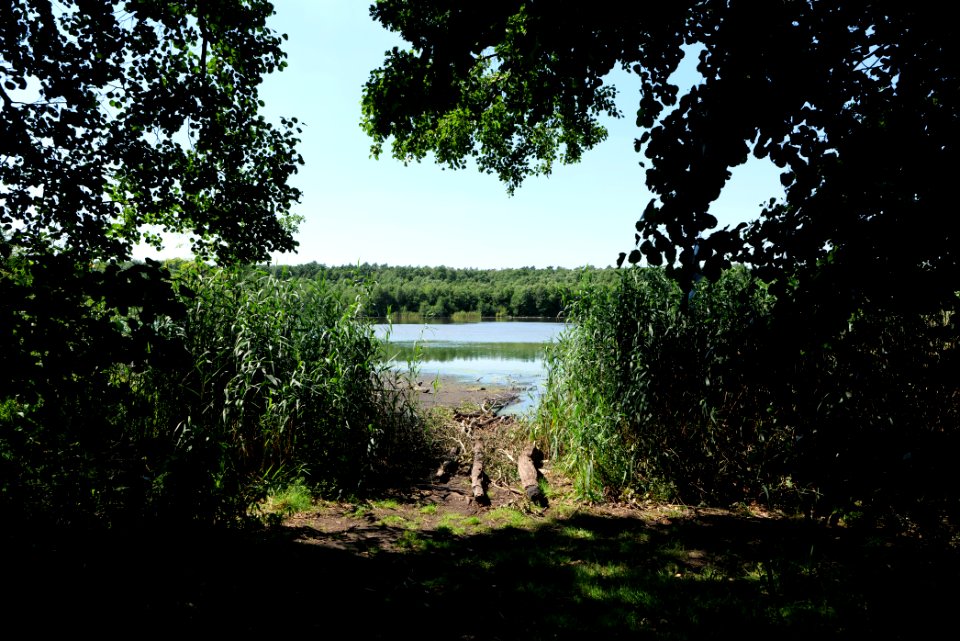 Herrensee Strausberg 2020-08-05 38