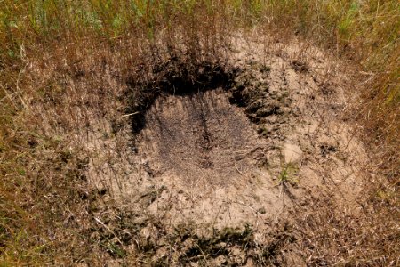 Herrensee, Lange-Damm-Wiesen und Barnim-Hänge 2020-08-05 28