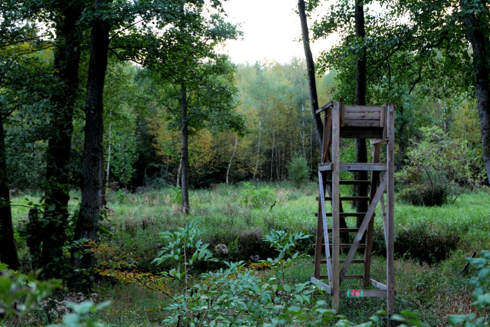 Herrenwald Stadtallendorf 2020-10-07 43