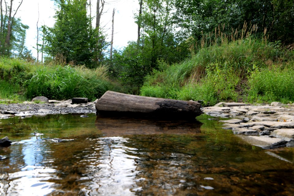 Herrenwald Stadtallendorf 2020-08-21 69