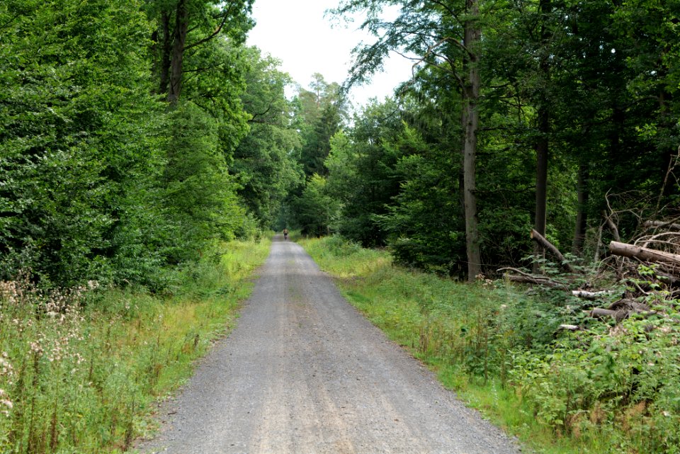 Herrenwald Stadtallendorf 2020-08-21 76
