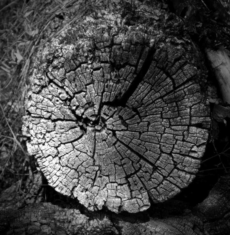 Worn cross-section texture