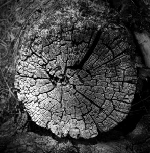 Worn cross-section texture
