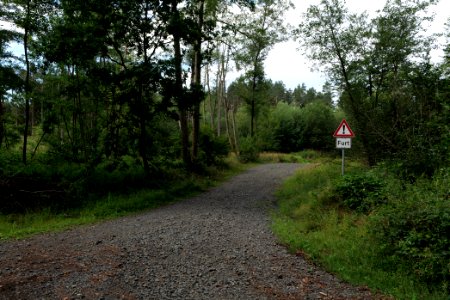 Herrenwald Stadtallendorf 2020-08-21 53