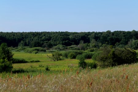 Herrensee, Lange-Damm-Wiesen und Barnim-Hänge 2020-08-05 235
