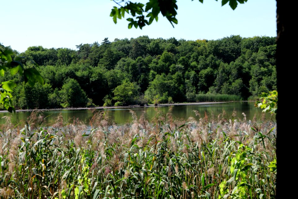 Herrensee Strausberg 2020-08-05 46