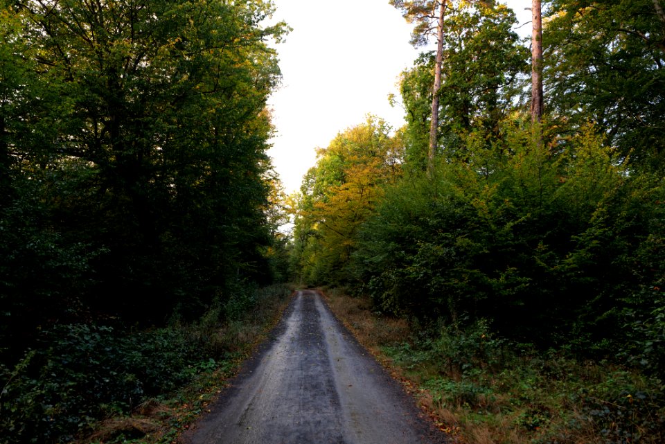 Herrenwald Stadtallendorf 2020-10-07 52