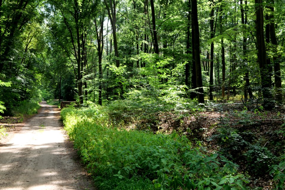 Herrensee, Lange-Damm-Wiesen und Barnim-Hänge 2020-08-05 50