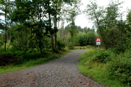 Herrenwald Stadtallendorf 2020-08-21 54