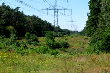 Herrensee, Lange-Damm-Wiesen und Barnim-Hänge 2020-08-05 40