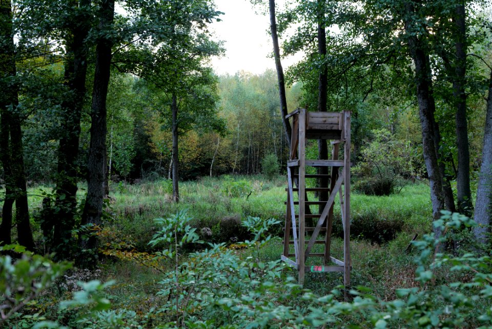 Herrenwald Stadtallendorf 2020-10-07 41