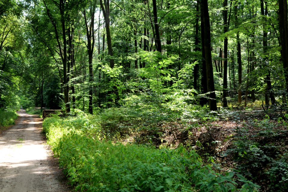 Herrensee, Lange-Damm-Wiesen und Barnim-Hänge 2020-08-05 51