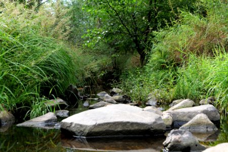 Herrenwald Stadtallendorf 2020-08-21 64