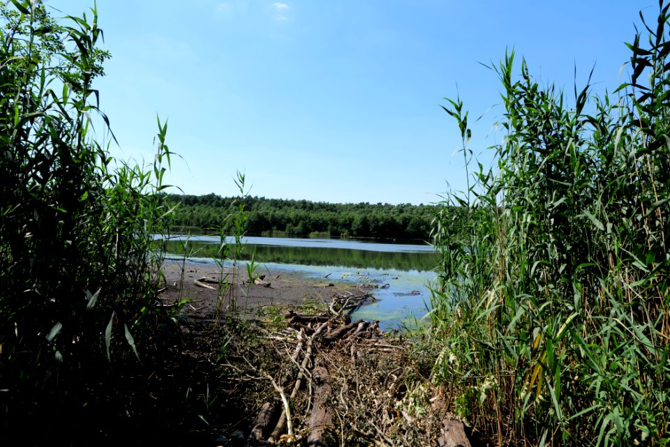 Herrensee Strausberg 2020-08-05 36