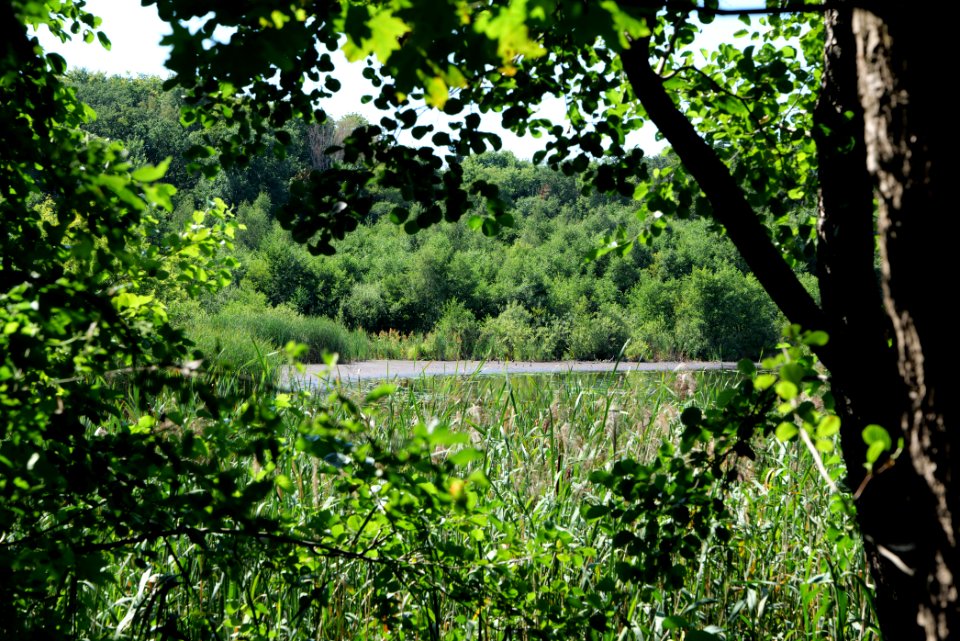 Herrensee Strausberg 2020-08-05 48