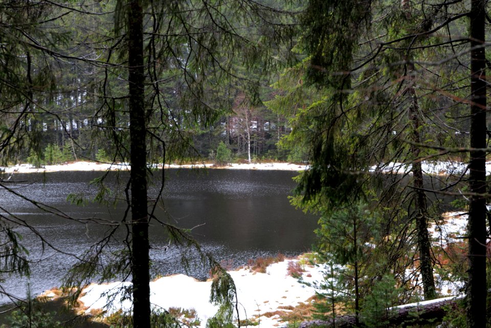 Herrenwieser See 2020-03-10 06