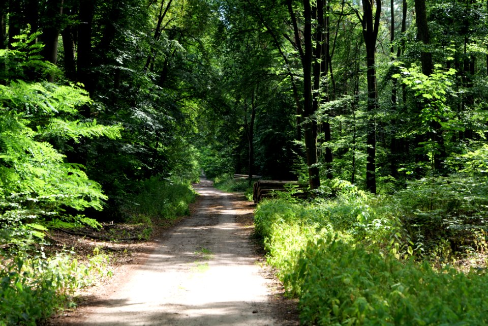 Herrensee, Lange-Damm-Wiesen und Barnim-Hänge 2020-08-05 48