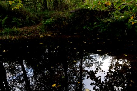 Herrenwald Stadtallendorf 2020-10-07 36