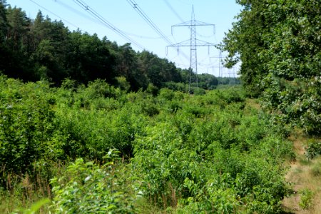 Herrensee, Lange-Damm-Wiesen und Barnim-Hänge 2020-08-05 36