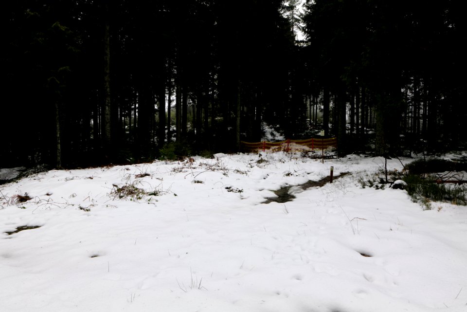 Herrenwieser Sattel with snow 2020-03-10 01