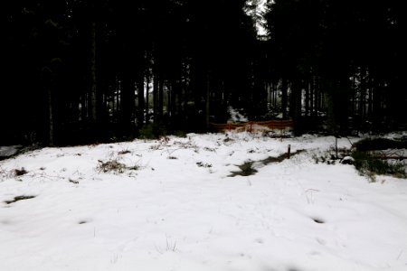 Herrenwieser Sattel with snow 2020-03-10 01