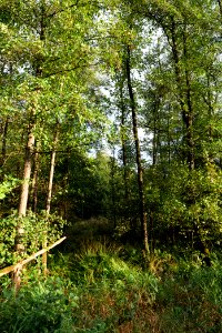 Herrenwald Stadtallendorf 2020-10-07 23