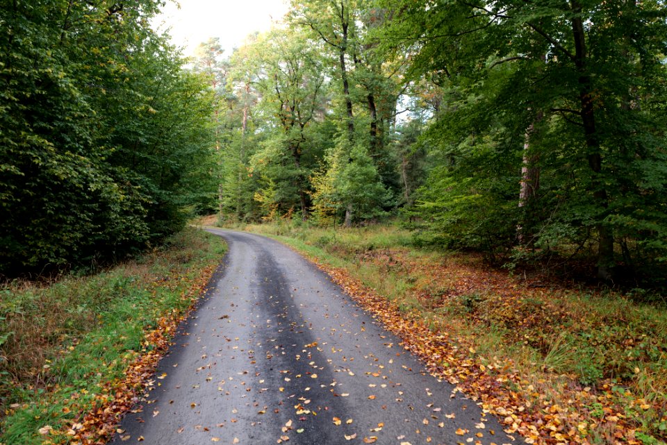 Herrenwald Stadtallendorf 2020-10-07 64
