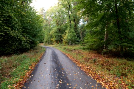 Herrenwald Stadtallendorf 2020-10-07 64