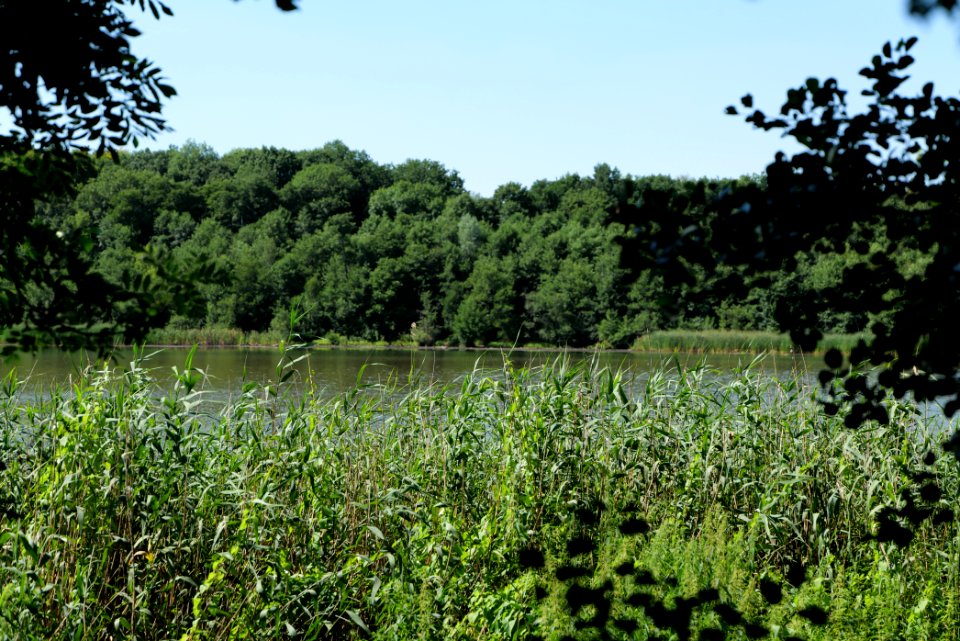Herrensee Strausberg 2020-08-05 41