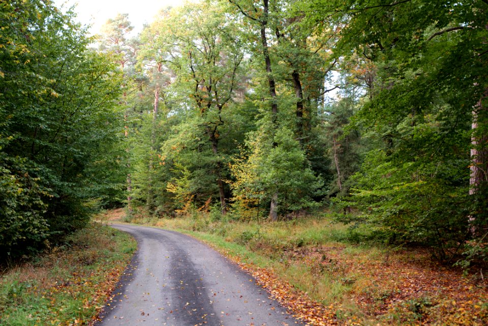 Herrenwald Stadtallendorf 2020-10-07 65