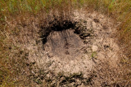 Herrensee, Lange-Damm-Wiesen und Barnim-Hänge 2020-08-05 31
