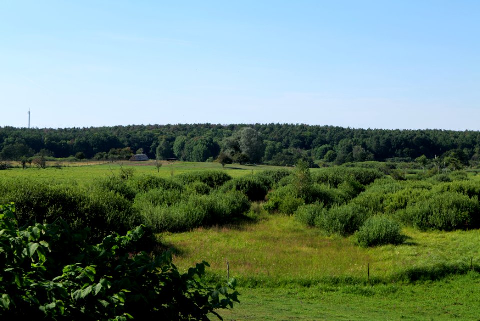 Herrensee, Lange-Damm-Wiesen und Barnim-Hänge 2020-08-05 215