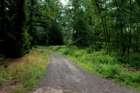 Herrenwald Stadtallendorf 2020-08-21 50