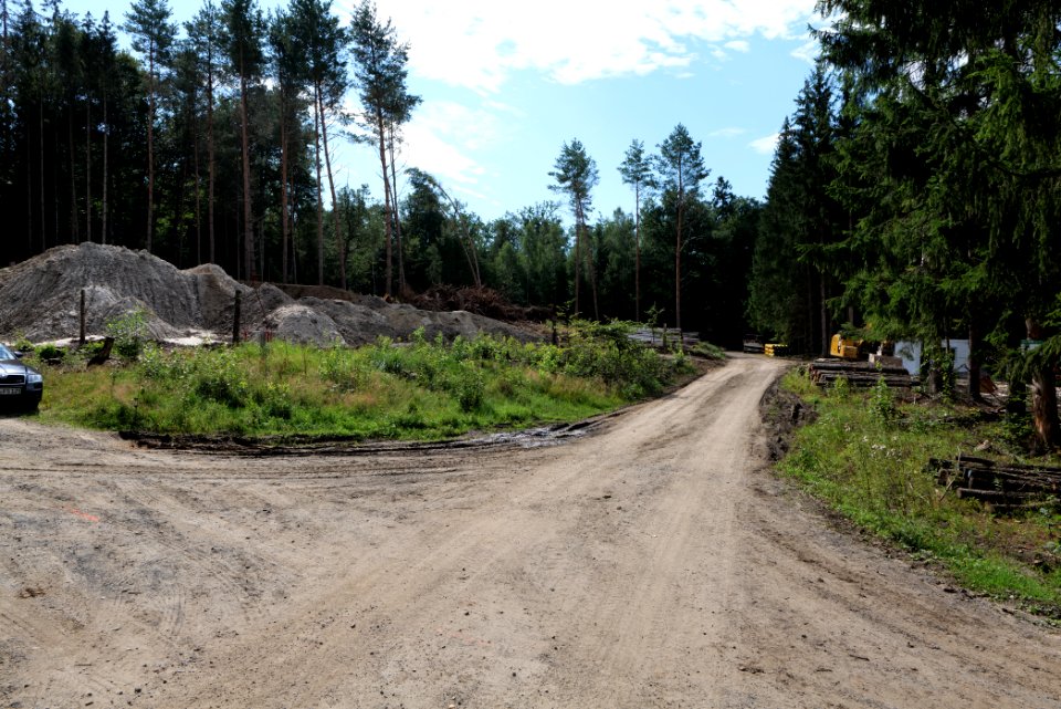 Herrenwald Stadtallendorf 2020-08-21 23