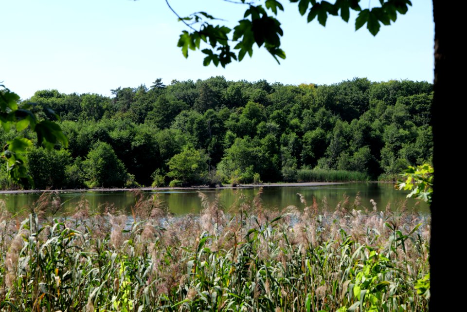 Herrensee Strausberg 2020-08-05 45