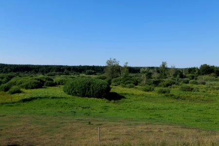 Herrensee, Lange-Damm-Wiesen und Barnim-Hänge 2020-08-05 213