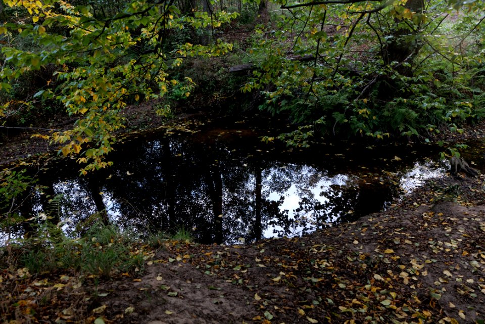 Herrenwald Stadtallendorf 2020-10-07 29
