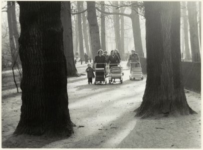 Hertenkamp oostzijde, Hertenkampweg, ziende naar het zuidwesten. NL-HlmNHA 54005644