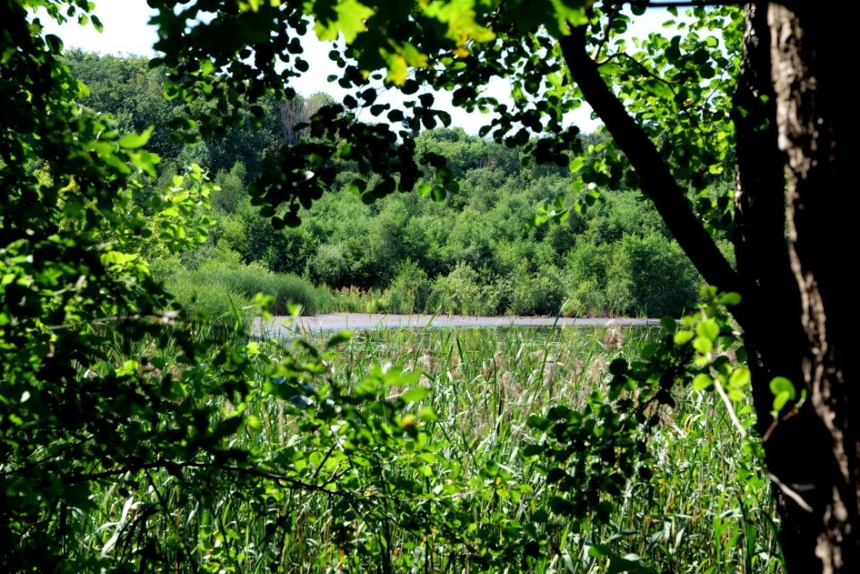 Herrensee Strausberg 2020-08-05 47