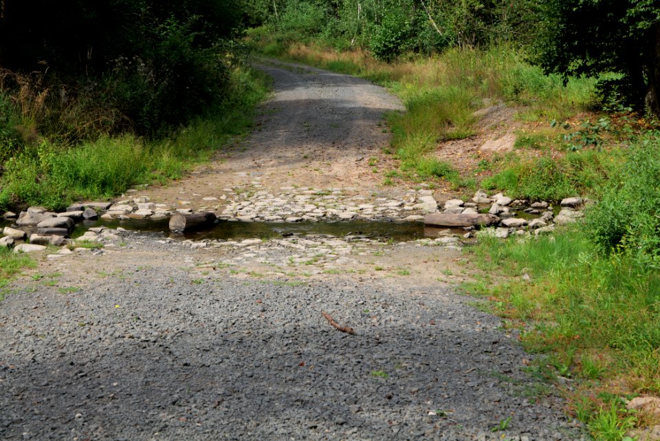 Herrenwald Stadtallendorf 2020-08-21 58