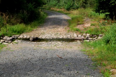 Herrenwald Stadtallendorf 2020-08-21 58