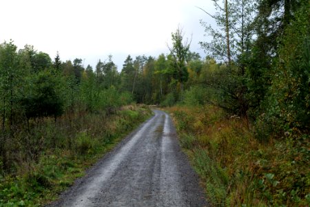 Herrenwald Stadtallendorf 2020-10-07 25