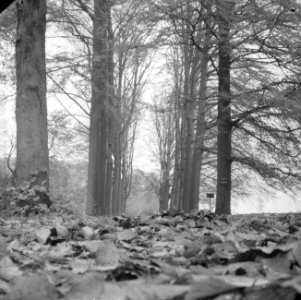 Herfst, Bestanddeelnr 911-7245