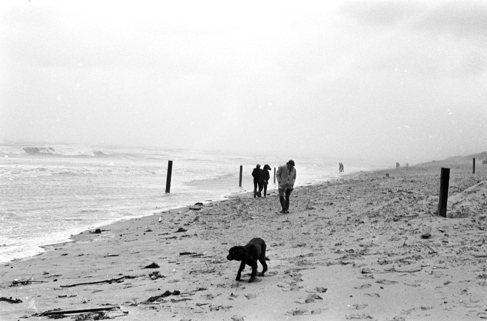 Herfststorm. Mensen op het strand bij windkracht 10, Bestanddeelnr 920-7905
