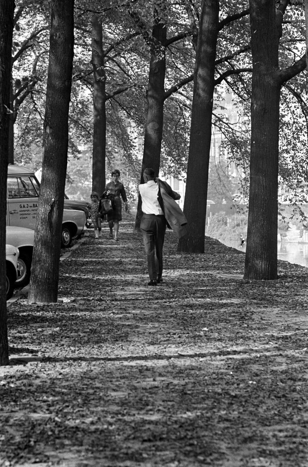 Herfst. Wandelen in het Vondelpark, Bestanddeelnr 920-7448