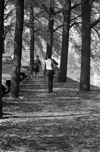 Herfst. Wandelen in het Vondelpark, Bestanddeelnr 920-7448