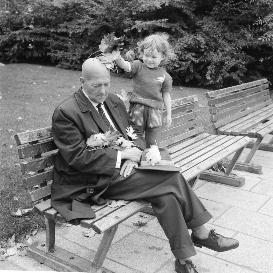 Herfst 1962 in Vondelpark, Bestanddeelnr 914-3749